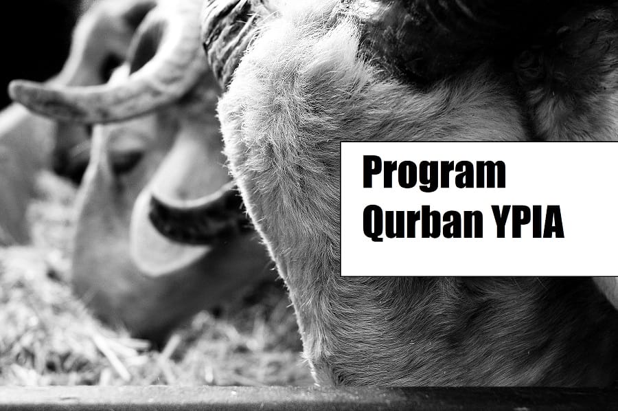 Program Penyelenggaraan Qurban YPIA di Wonosari – Gunungkidul