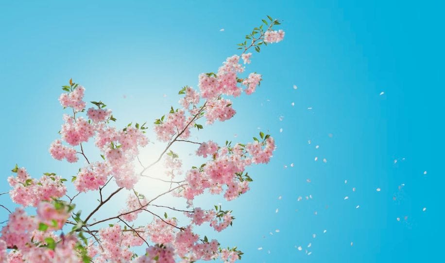 FKKA Sukses Gelar Kajian “Muslimah Mengaji: Seri Sifat Muslimah Sejati” dengan Tema “Kiat Menjadi Pribadi Ikhlas dan Senantiasa Kembali Kepada-Nya (Bagian 2)”